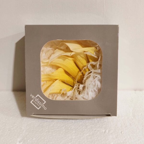 Box Calla naturale mini