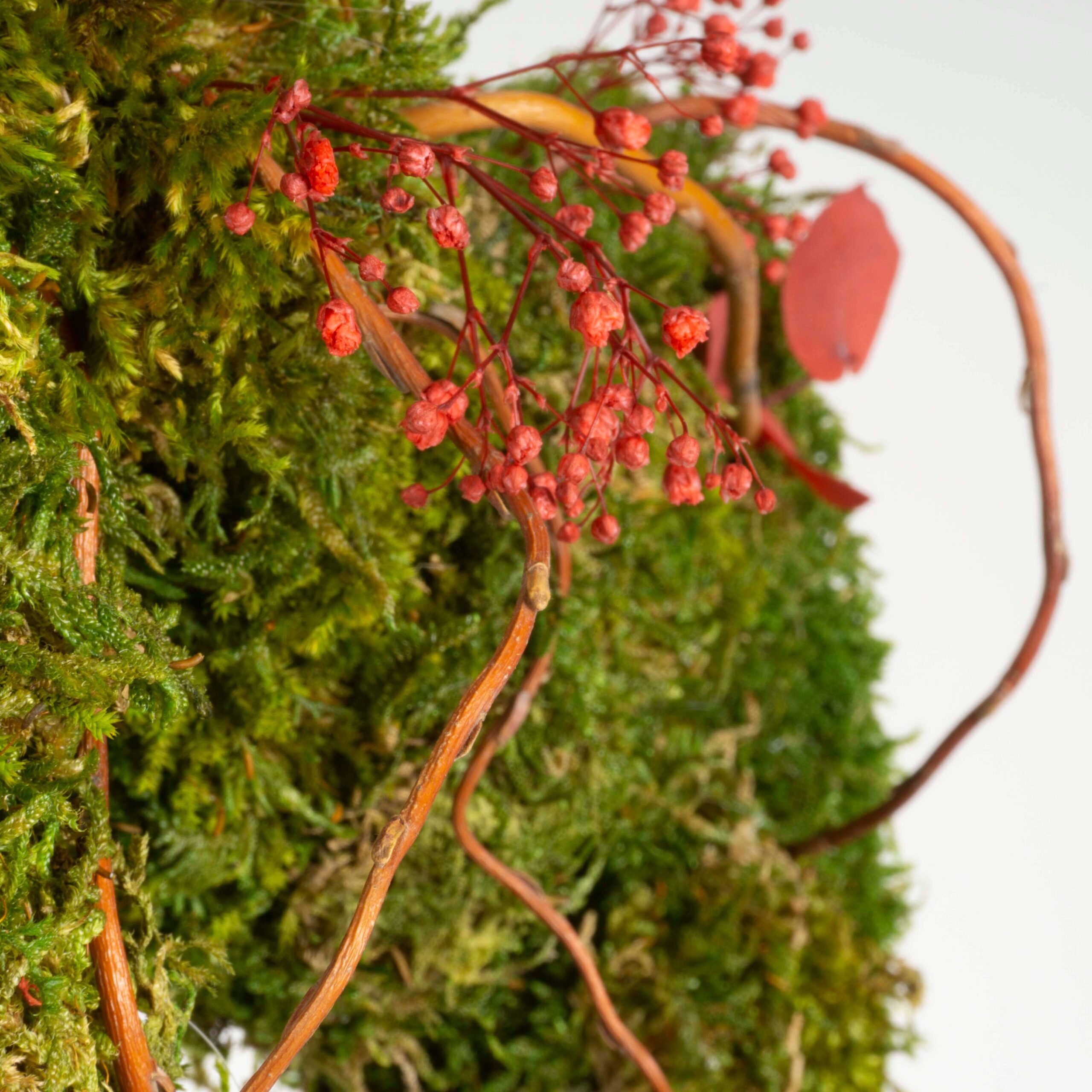 StyleGREEN Quadro Con Muschio Naturale Stabilizzato | Bosco E Muschio Sferico 35x35 Cm | Fatto A Mano