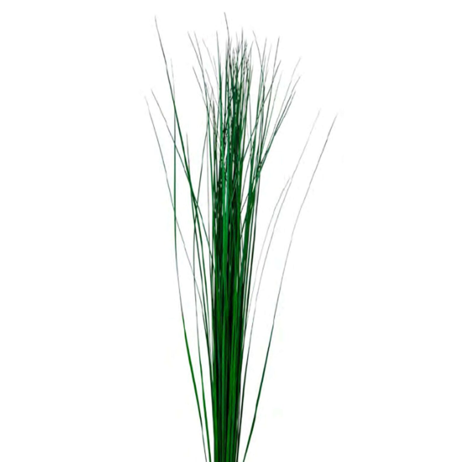 Steel Grass – Verde stabilizzato