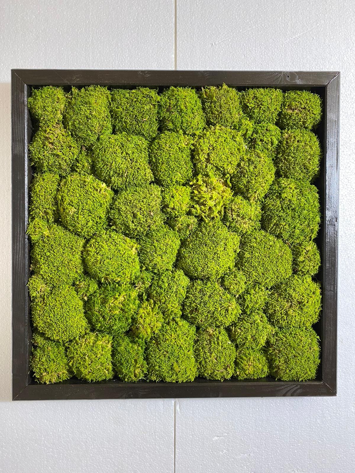 Quadro Muschio Roccioso Verde Stabilizzato