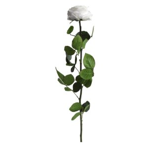 150 Pezzi Di Filo Floreale Calibro 22 Per Composizioni Fai Da Te - Steli In Verde, Bianco E Marrone, Lunghezza 30 Cm, Diametro 0,8 Mm