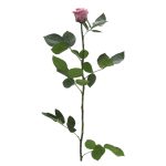 Spilla A Forma Di Rosa Rossa Con Smalto Inglese - Metallo, 2.8x3.3 Cm, Prodotto Ufficiale Panda Loco
