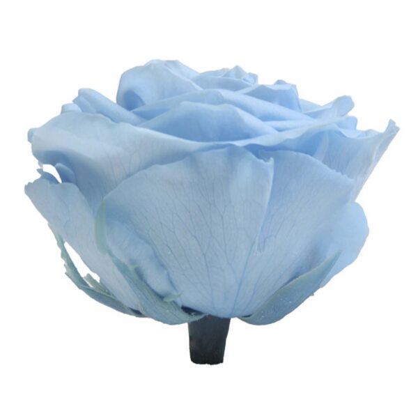 Box rose premium azzurre - immagine 3