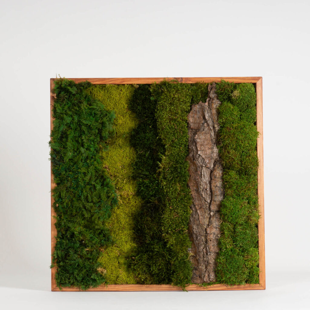 GJS Muschio stabilizzato - vero muschio decorativo naturale vivo conservato (finto lichene slandese) - colorato in modo diverso - per decorazioni, modellismo, terrario, parete (500g, verde a foglia
