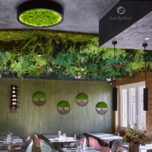 soffitto-verde-stabilizato-caravita