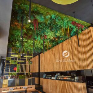 soffitto-verde-stabilizato-sushi-jo
