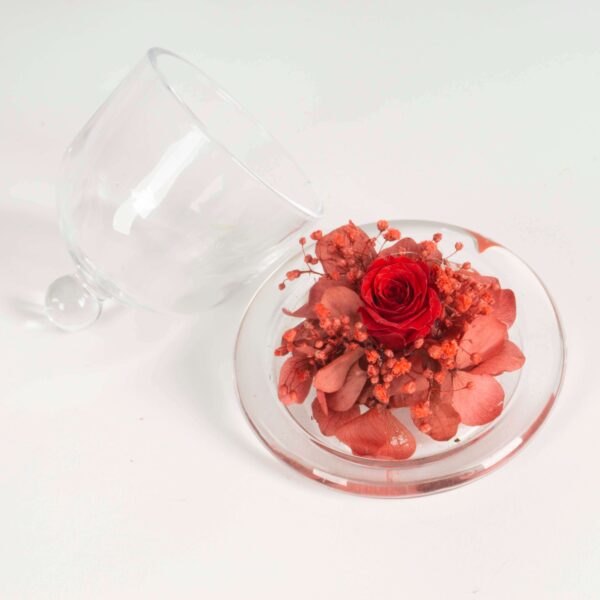 Campana di vetro Fiori stabilizzati - immagine 2
