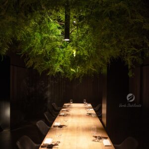 soffitto-verde-stabilizzato-nakai