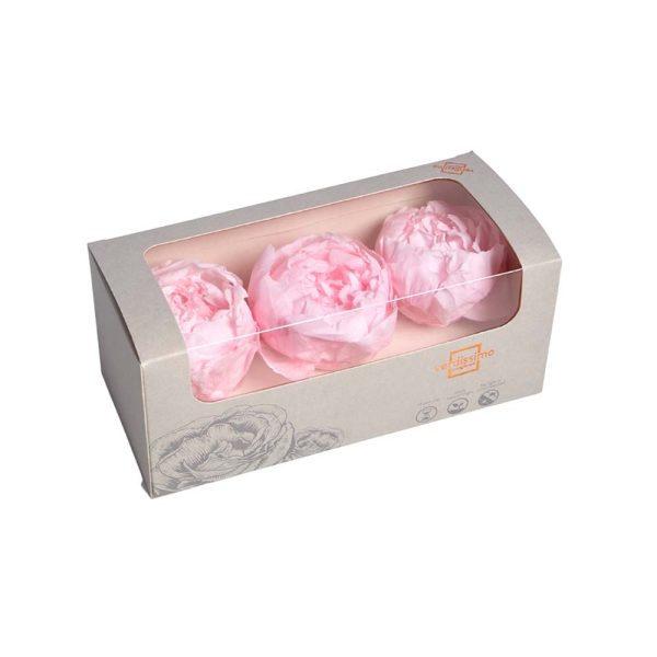 Box Peonia stabilizzata - immagine 3
