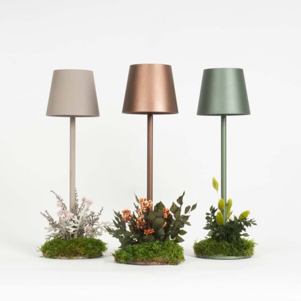 Poldina design