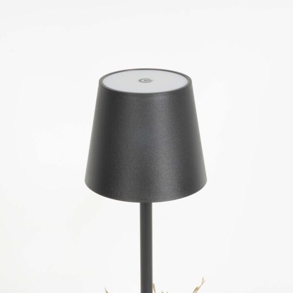 Poldina design - immagine 6