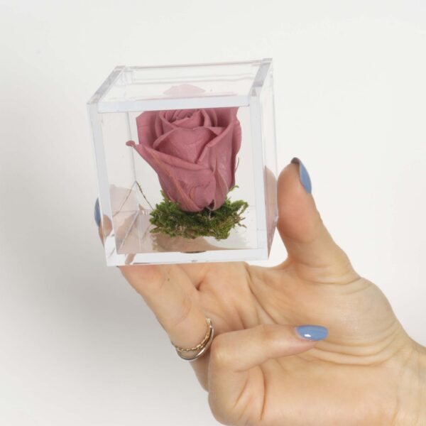 Bomboniera Box Rosa antico stabilizzata - immagine 3