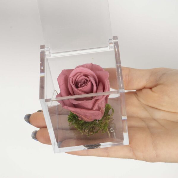 Bomboniera Box Rosa antico stabilizzata - immagine 2