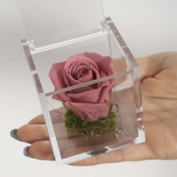 Bomboniera Box Rosa antico stabilizzata - immagine 4