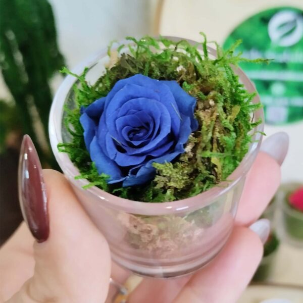 Bomboniera con Rosellina Blu