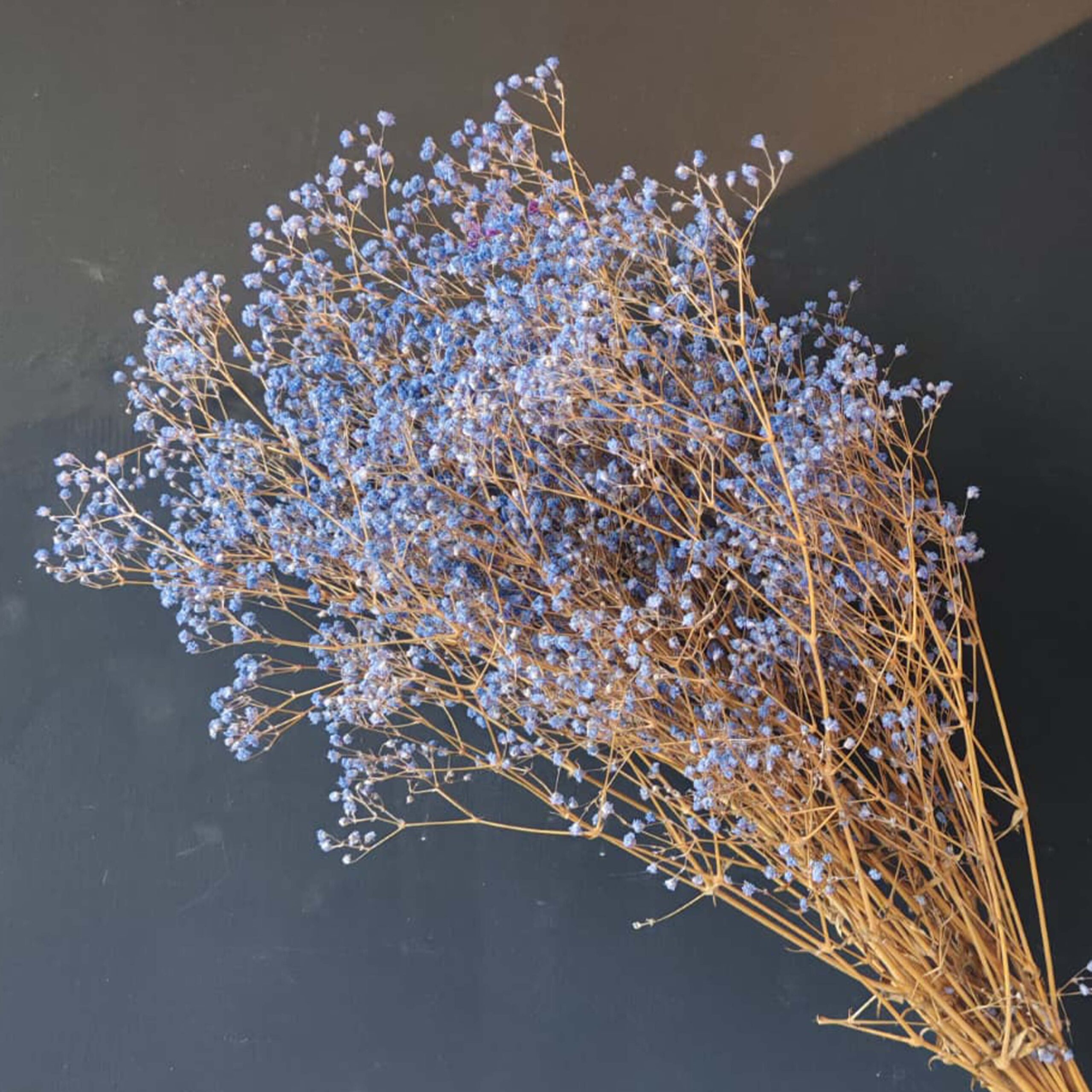 Gypsophila lilla pastello - immagine 3