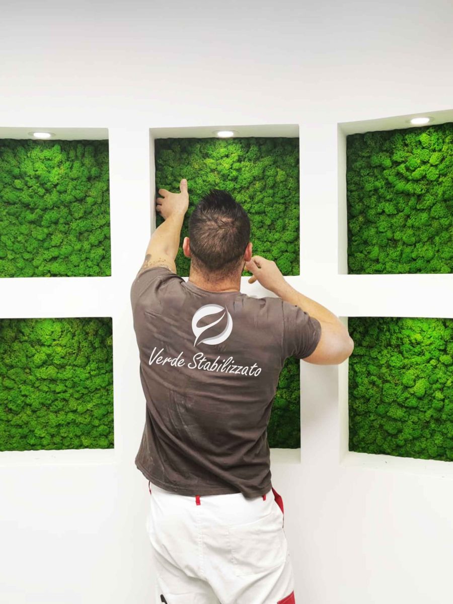 lichene2-parete-verde-stabilizzato